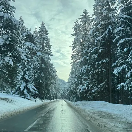 Grande Maison Du Coeur Spa,gym E Aree Relax * Champoluc