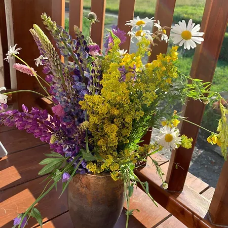 Grande Maison Du Coeur Spa,gym E Aree Relax