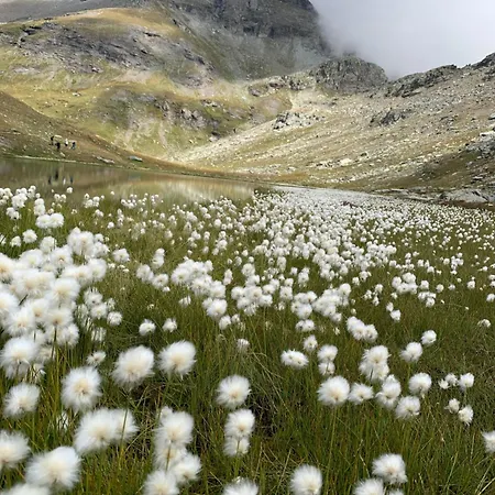 Grande Maison Du Coeur Spa,gym E Aree Relax *