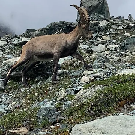 Grande Maison Du Coeur Spa,gym E Aree Relax Apartment