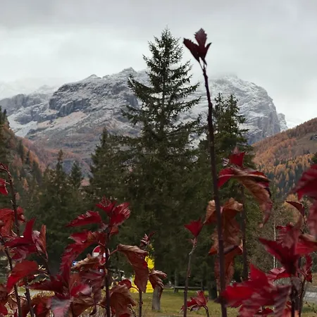 Grande Maison Du Coeur Spa,gym E Aree Relax Apartment *