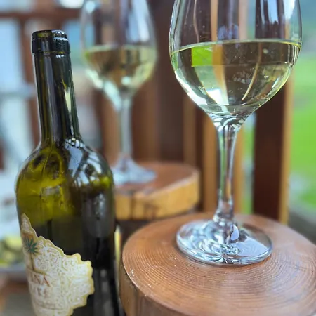 公寓 Grande Maison Du Coeur Spa,gym E Aree Relax