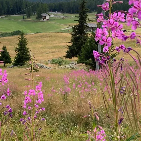 Grande Maison Du Coeur Spa,gym E Aree Relax 아파트