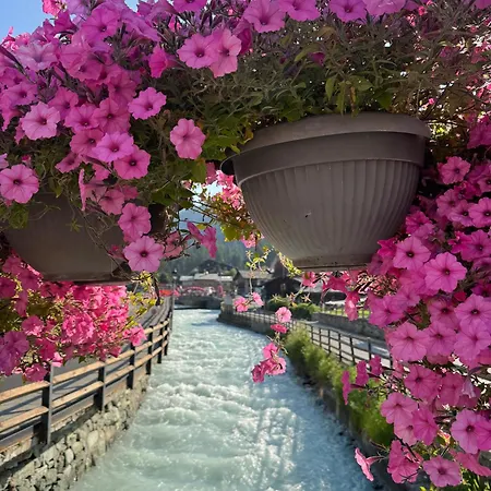 아파트 Grande Maison Du Coeur Spa,gym E Aree Relax