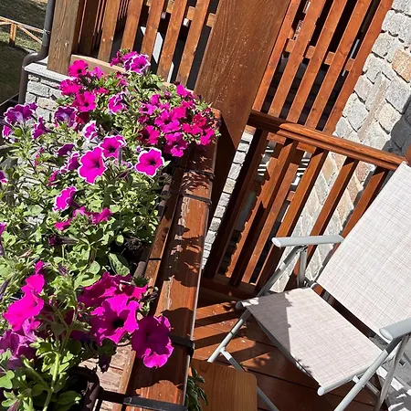 Grande Maison Du Coeur Spa,gym E Aree Relax Lägenhet Champoluc