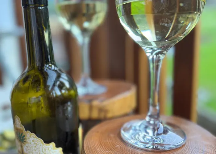 公寓 Grande Maison Du Coeur Spa,gym E Aree Relax