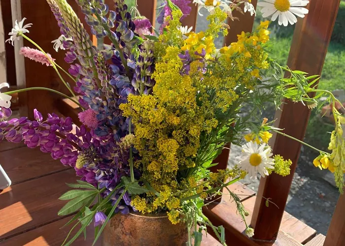 Grande Maison Du Coeur Spa,gym E Aree Relax