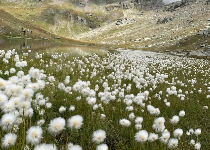 Grande Maison Du Coeur Spa,gym E Aree Relax *