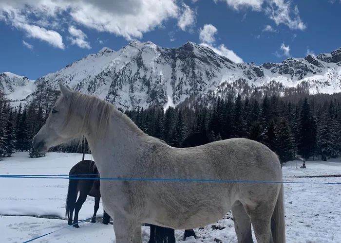 Grande Maison Du Coeur Spa,gym E Aree Relax