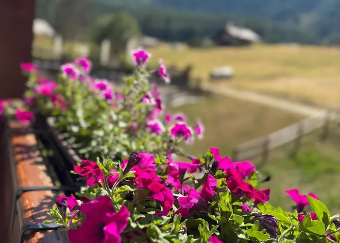 Grande Maison Du Coeur Spa,gym E Aree Relax *