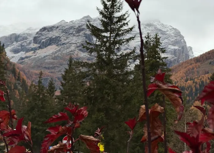 Grande Maison Du Coeur Spa,gym E Aree Relax Apartment *